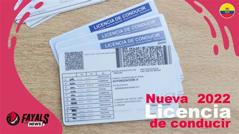 Lo Que Debes Saber Para Renovar Tu Licencia Y Real Id En Illinois