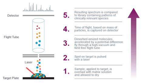 Maldi Tof Mass Spectrometry Beckman Coulter