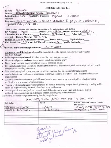 Mental Health Clinical Paperwork Example Pdf