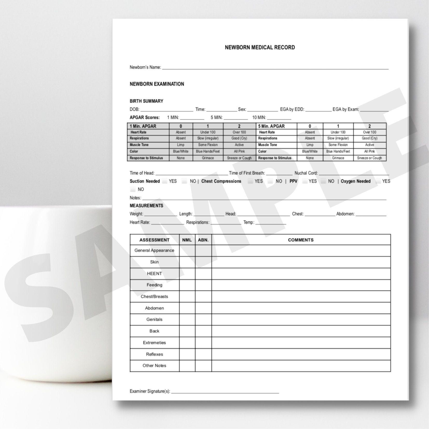 Midwife Client Newborn Paperwork Printable Pdf For Midwifery Practices