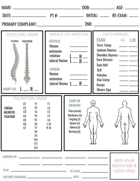 Modern Adult Exam Forms For Chiropractors Etsy