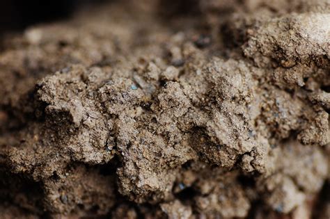 Mud Beautiful Textures And Forms From This Pile Of Mud Photograph By