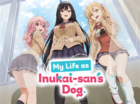 My Life As Inukai San Amp 39 S Dog Anime Unveils 2Nd Trailer And January 6 Debut Qooapp News