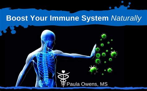 Natural Immunity System News Latest Natural Immunity System News Breaking Natural Immunity