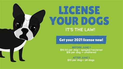 News 2021 Dog Licenses Available Online