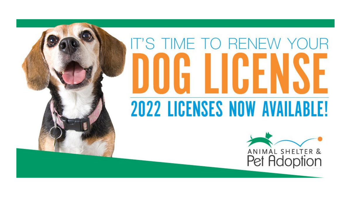 Oakland County It S Time To Renew Your Dog License Oakland County Blog