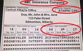 Online Vehicle Registration Renewal In Out Registry Services