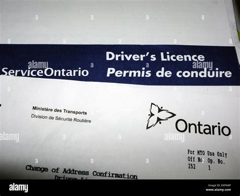 Ontario Driver S License Paperwork Stock Photo Alamy