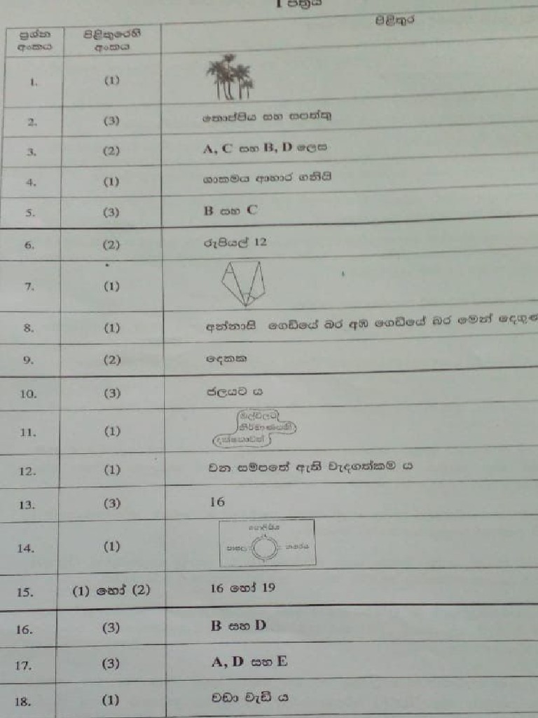 Out 2024 Grade 5 Scholarship Paper With Answers Pdf Download