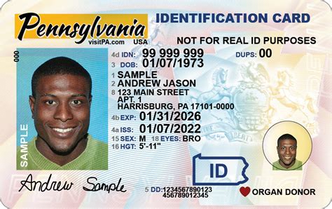 Pages Real Id