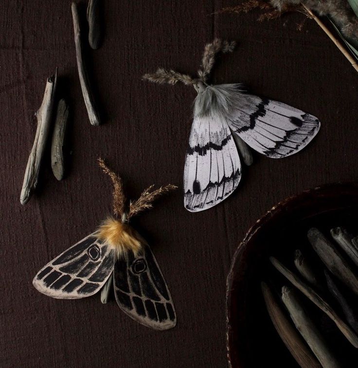 Paper Moth Printables Merrilee Liddiard