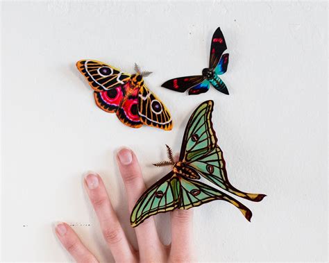 Paper Moths Paper Moth Cutouts Realistic Paper Moths Etsy Moth