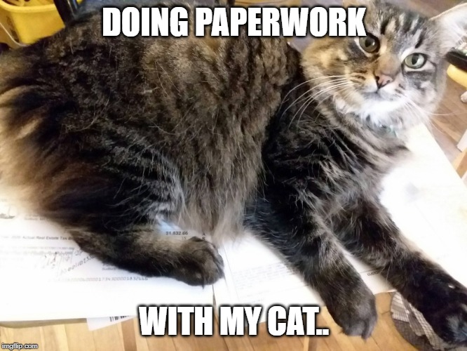 Paperwork Latest Memes Imgflip