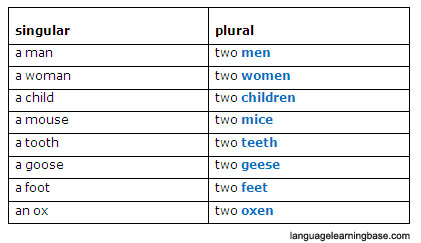 Paperwork Plural