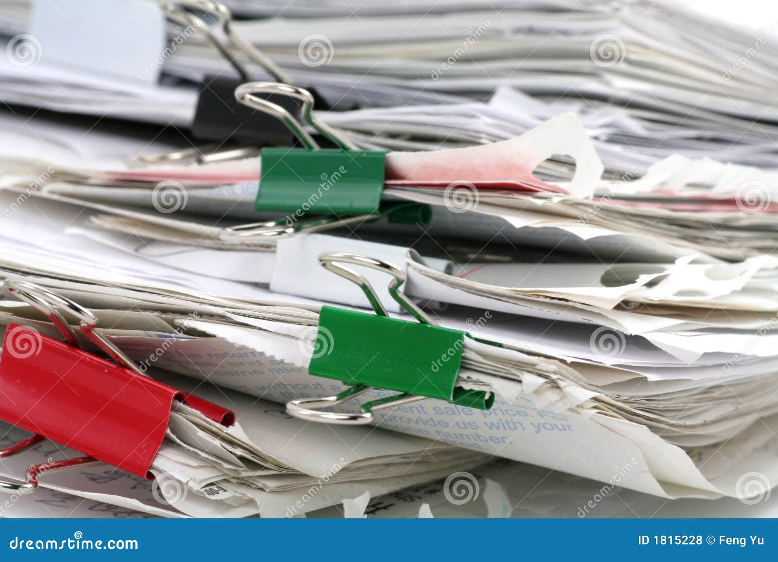 Paperwork Puppy Stock Photos Free Royalty Free Stock Photos From