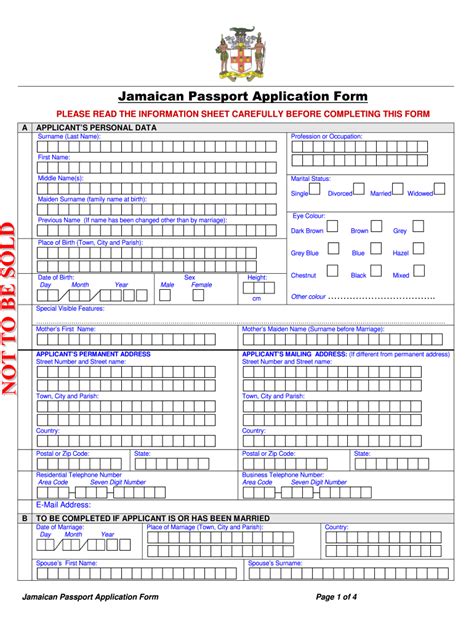 Passport Application Form Fill Out Sign Online Dochub