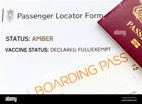 Passport Boarding Pass And Passenger Locator Form Some Of The