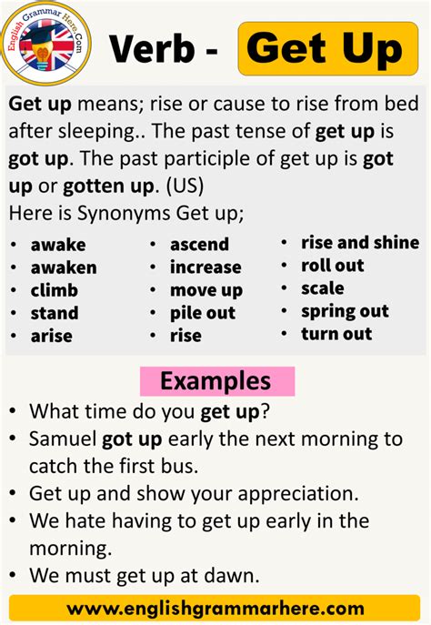 Past Perfect Tense Of Sterilize Ltsenglish Com