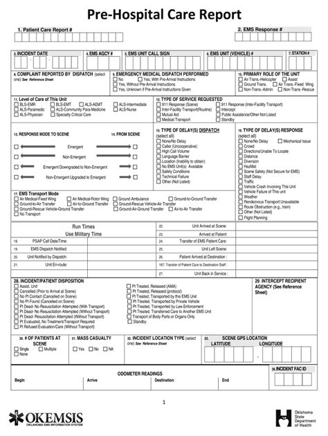 Patient Care Report 2020 2022 Fill And Sign Printable Template Online Us Legal Forms