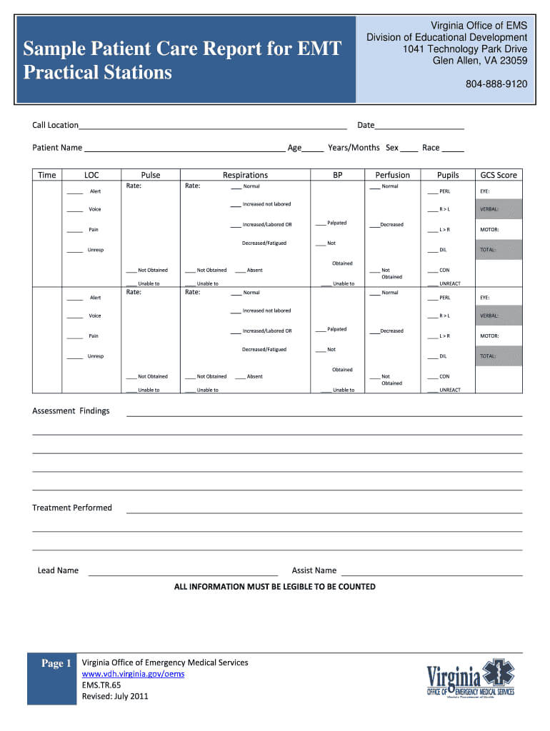 Patient Care Report Template Word Fill Online Printable Fillable