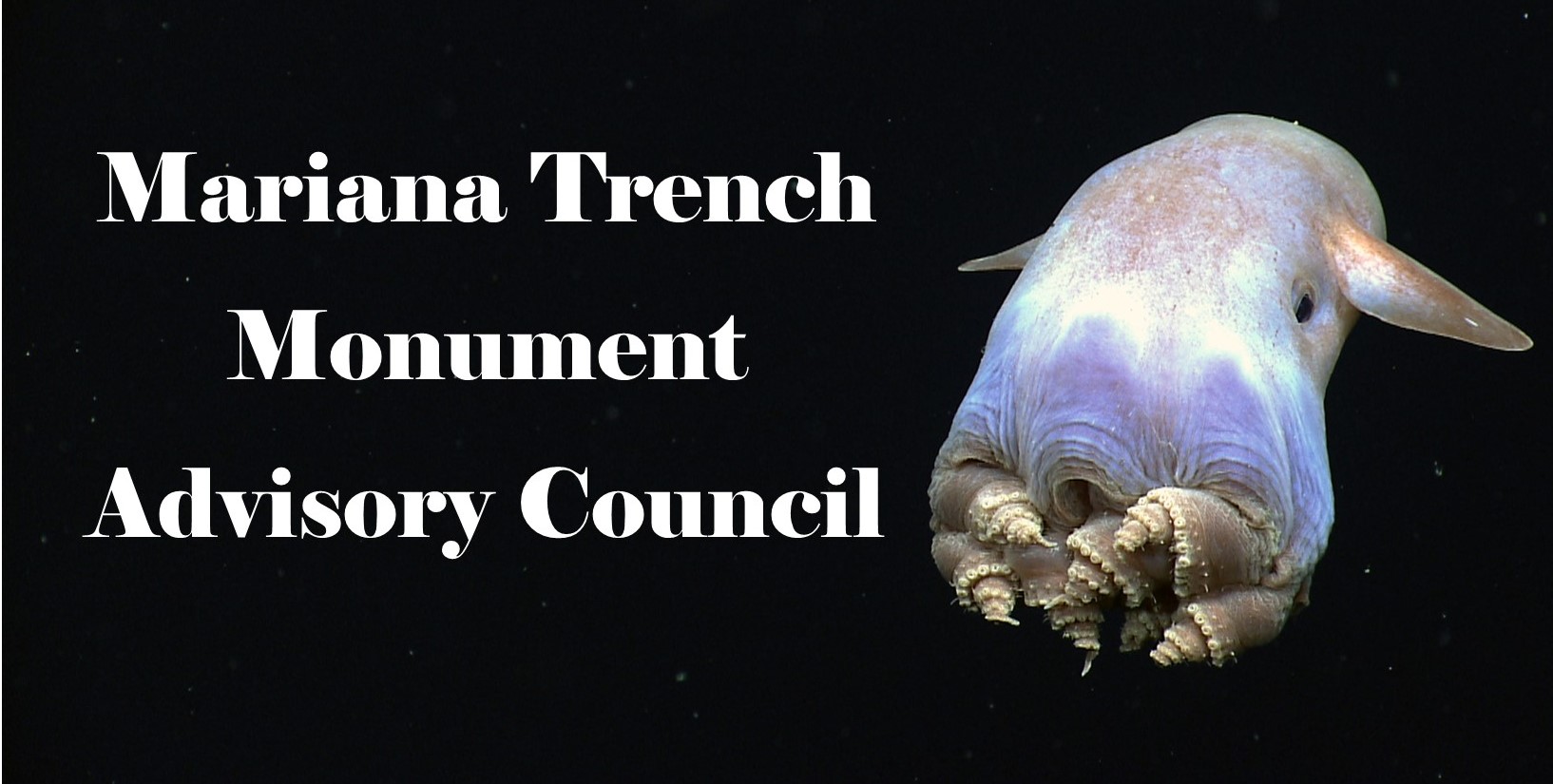 Pdf Mariana Trench Monument Advisory Council Mariana Trench