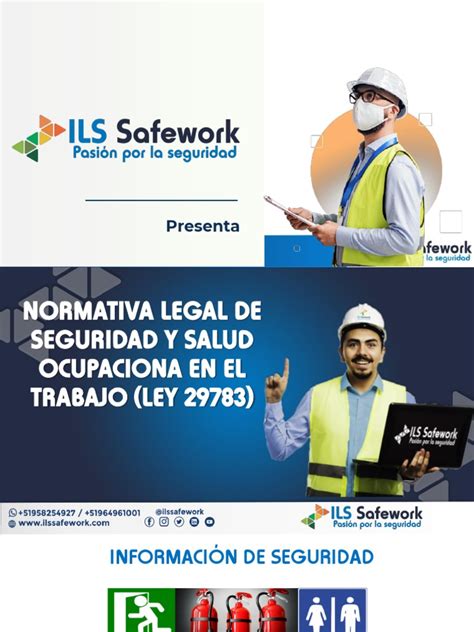 Pdf Sst Safework Seguridad Y Salud En El Trabajo Dokumen Tips