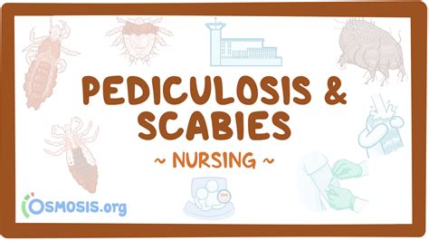 Pediculosis Amp Scabies Nursing Osmosis Video Library