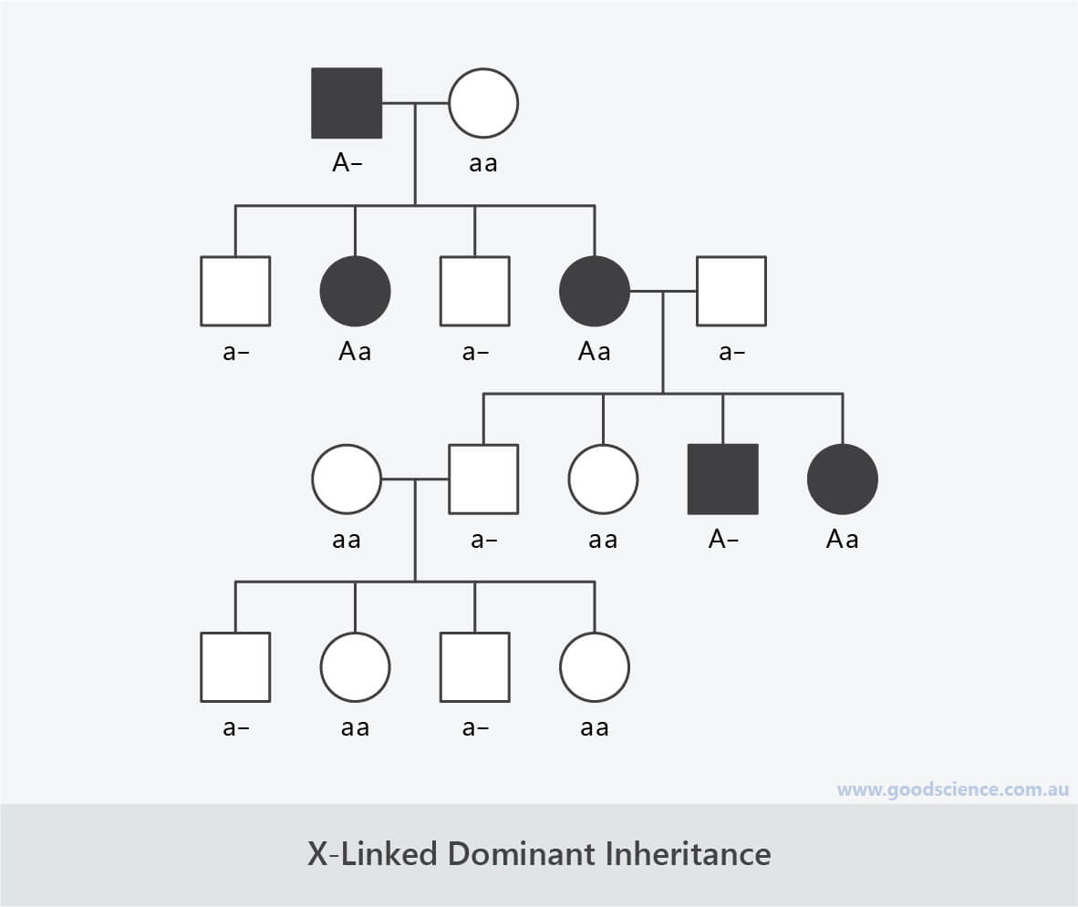 Pedigree Charts Good Science