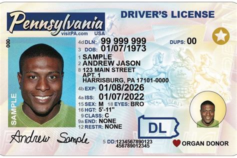 Pennsylvania S New Driver S License Design Gets Enhanced Security