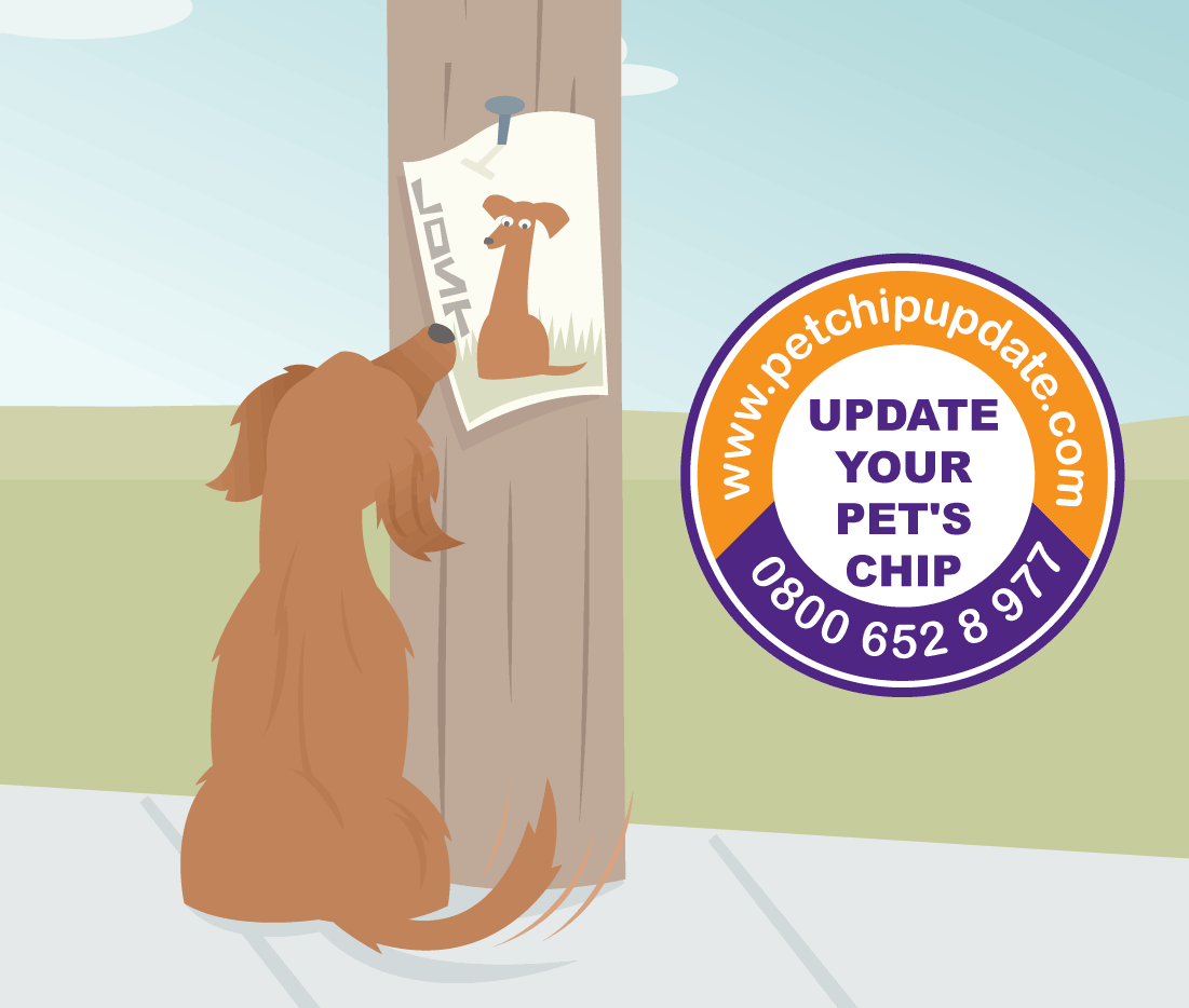 Pet Chip Update Campaign Keep Your Pet S Microchip Up To Date