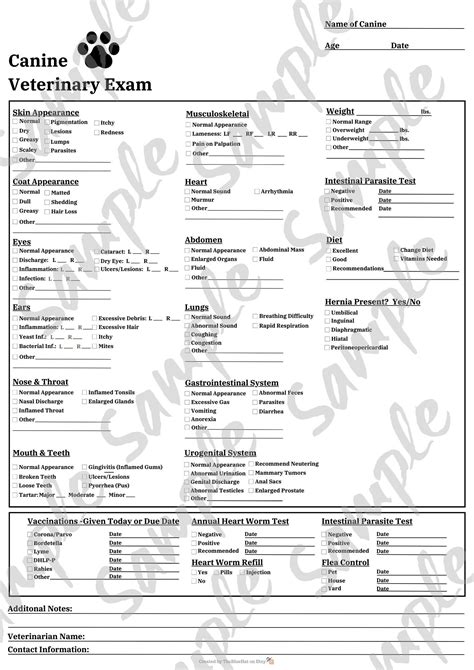 Pet Exam Form Report Card Template Vet Medicine Veterinary