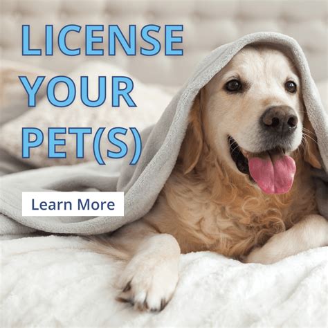 Pet Licensing Pierce County Wa Official Website