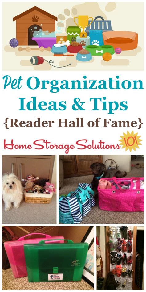 Pet Organization Ideas Tips