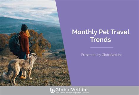 Pet Travel Trends June 2022 Globalvetlink