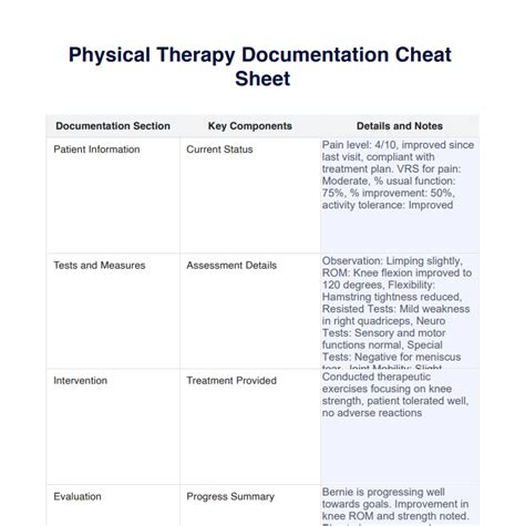 Physical Therapy Documentation Examples Pdf Fill Online Printable