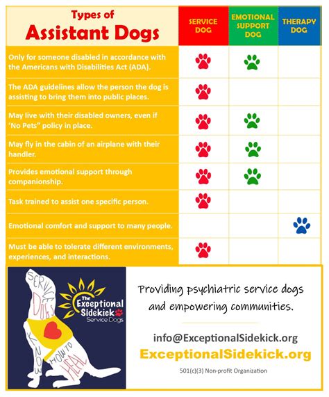 Pin On Information About Service Dogs