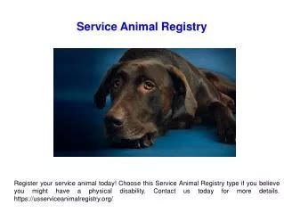 Ppt Emotional Support Animal Online Powerpoint Presentation Free