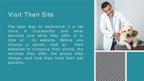 Ppt How To Find The Best Vet Clinic Powerpoint Presentation Free