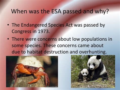 Ppt The Endangered Species Act Esa Powerpoint Presentation Free