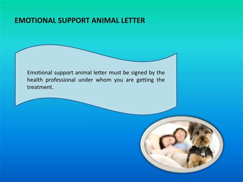 Ppt Thedogtoronline Net Emotional Support Dog Powerpoint Presentation