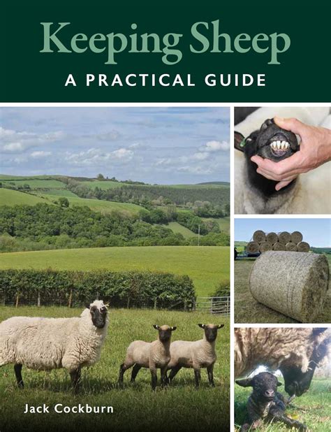 Practical Sheep Keeping