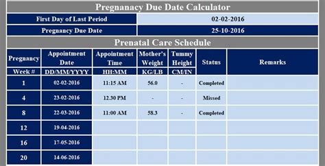 Prenatal Testing Schedule Examples And Forms