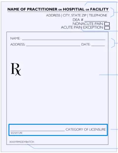 Prescription Template Pdf Templates Jotform