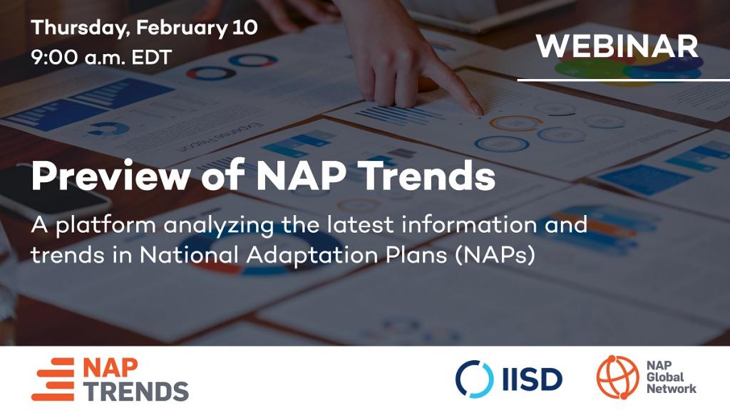 Preview Of Nap Trends A Platform Analyzing The Latest Information And