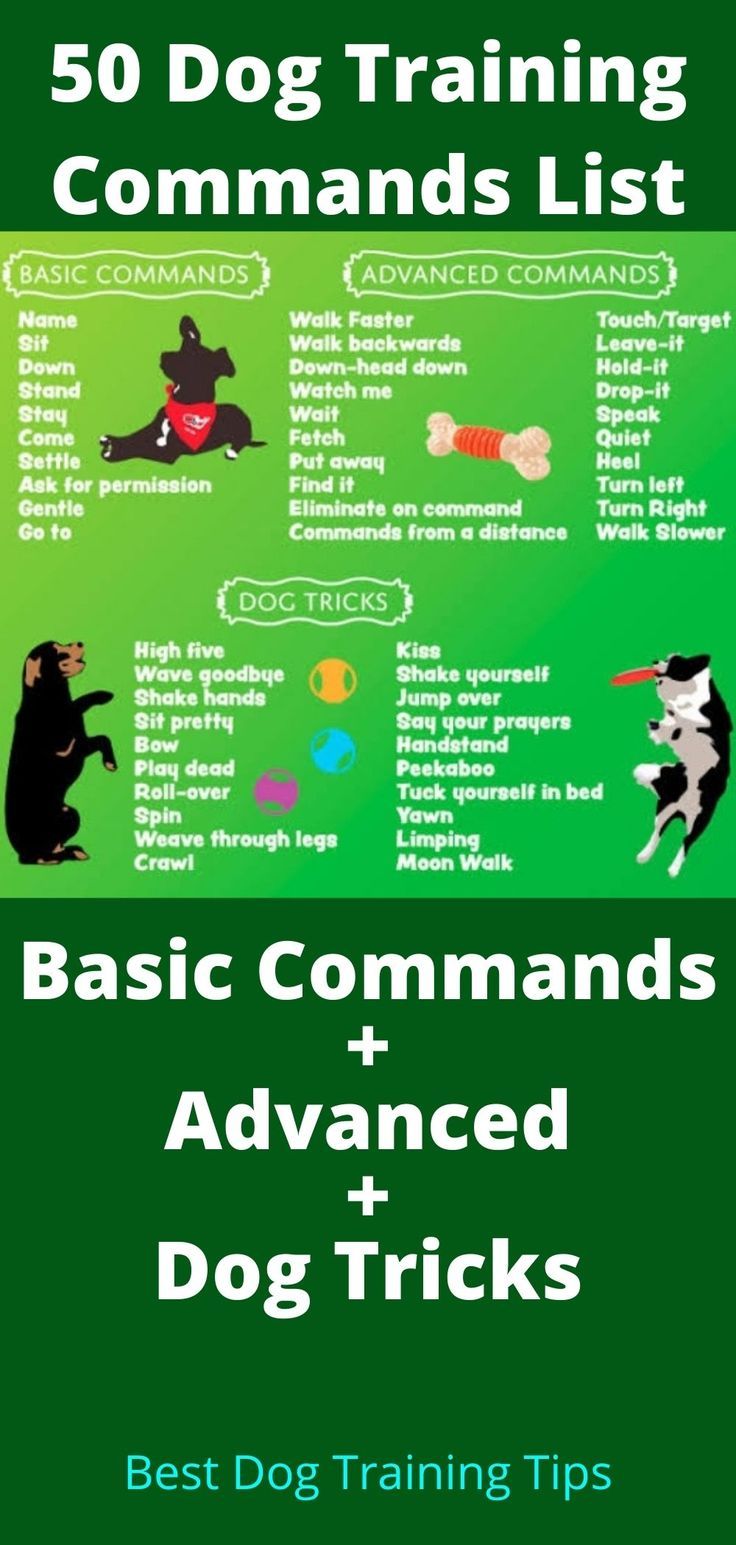 Printable Dog Training Commands List Pdf