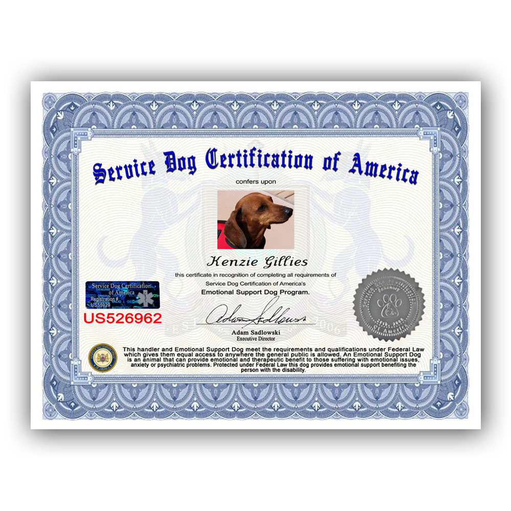 Printable Emotional Support Animal Certificate