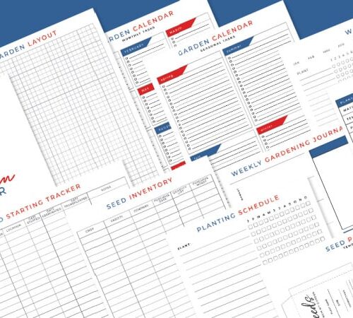 Printable End Of Life Checklist Prntbl Concejomunicipaldechinu Gov Co