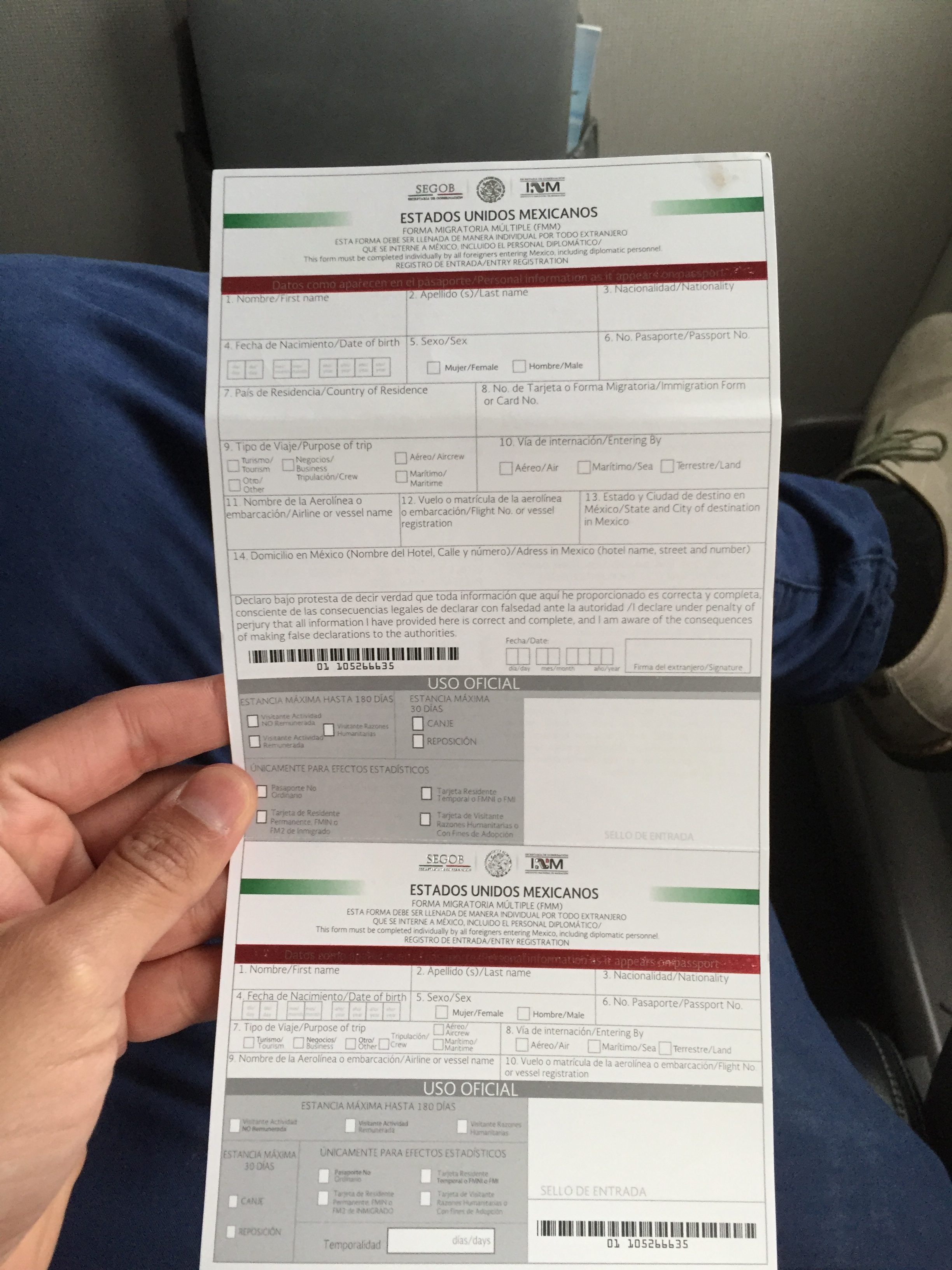 Printable Mexico Fmm Form Printable Forms Free Online