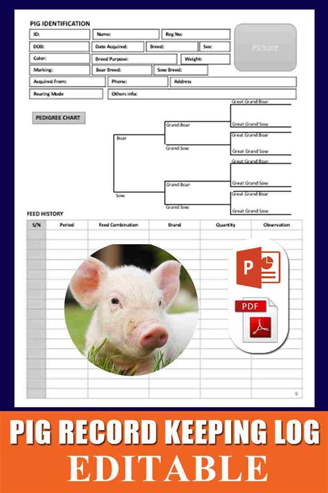 Printable Pig Record Keeping Template Forms