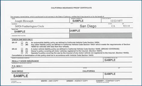 Printable Sr22 Form Colorado Printable Forms Free Online